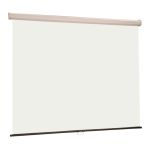 Luma Wall Mounted Manual Screen